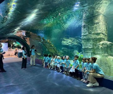 Field trip 2025