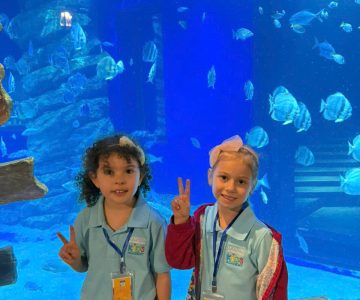 Field trip 2025